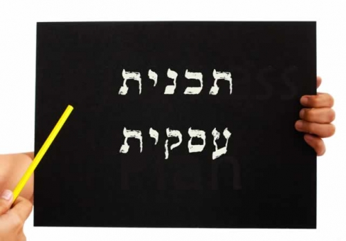 תכנית עסקית
