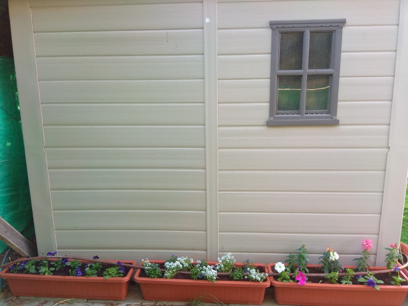 פרחים בגינה