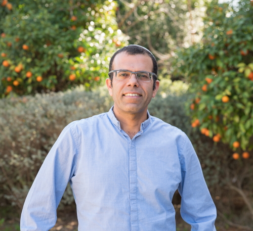 רו"ח רואי מסורי