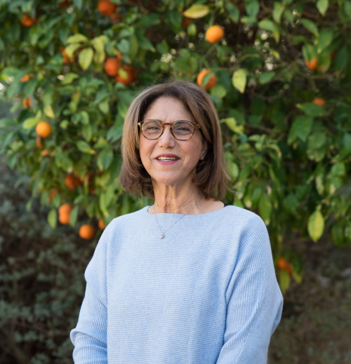 ניאגו איריס