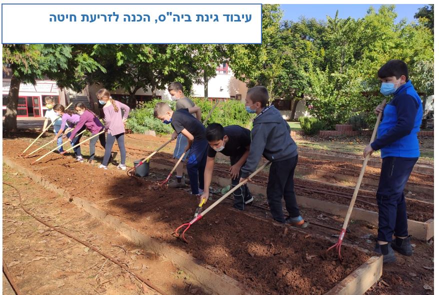 בית ספר אהרונוביץ תלמידים מעבדים את גינת בית הספר