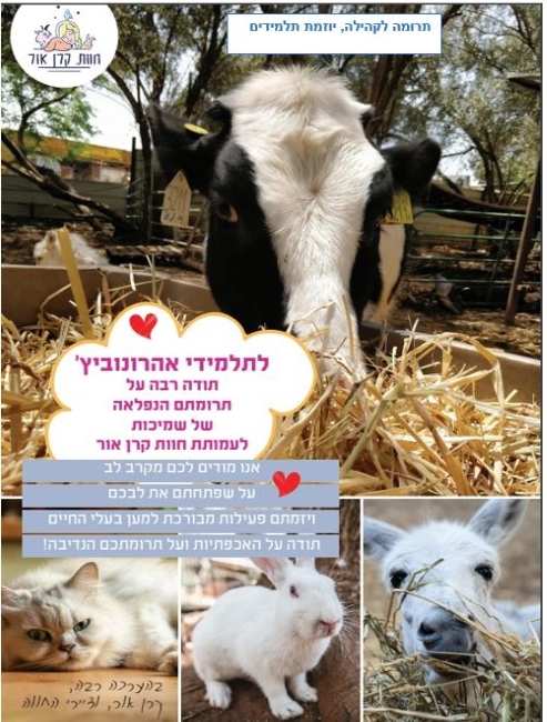 תרומה לקהילה יוזמת תלמידים, פרה בחוות קרן אור
