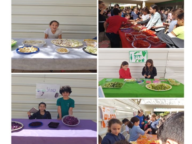 תמונות מהווי בית הספר כצנלסון תלמידים בפעילויות בית ספריות