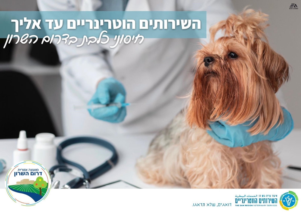 מודעה גרפית כלב מקבל חיסון בליווי הכיתוב השירותים הוטרינריים עד אלייך חיסוני כלבת בדרום השרון