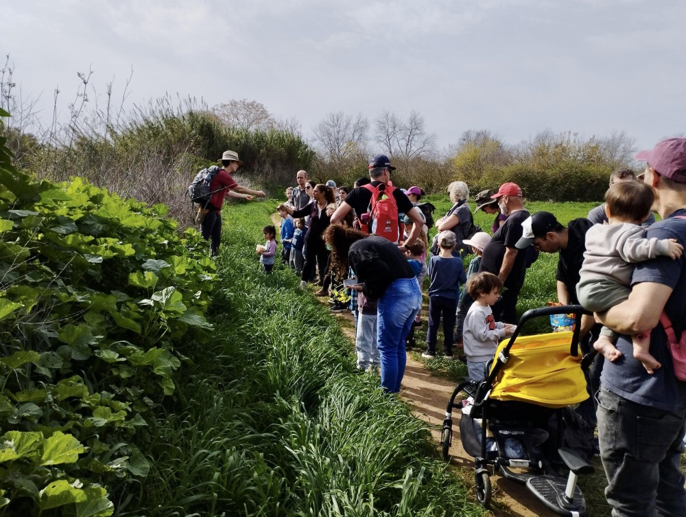 טיול משפחות בנחל הדס בדרום השרון