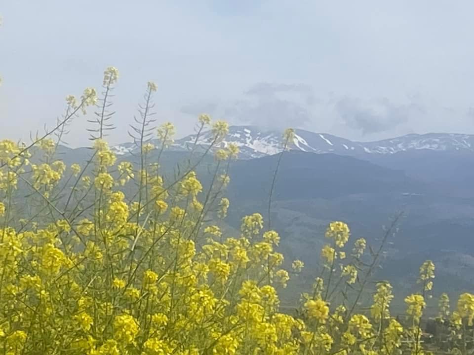 טיול לכפר עאגר ולתל חי