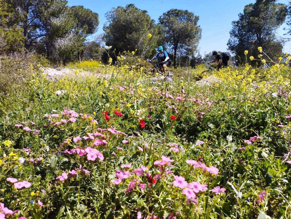 פריחה ביער נחשונים דרום השרון