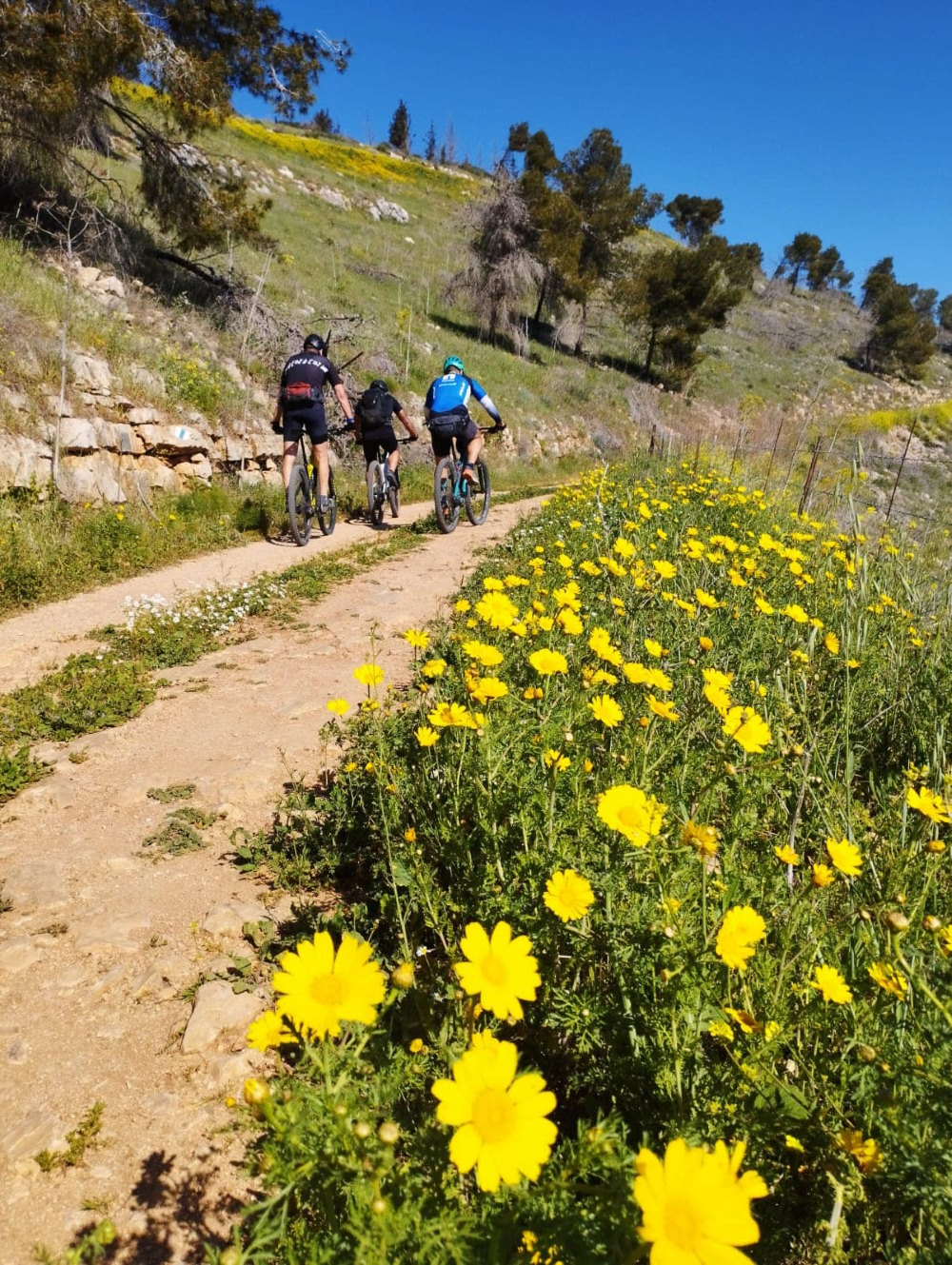 יער נחשונים דרום השרון