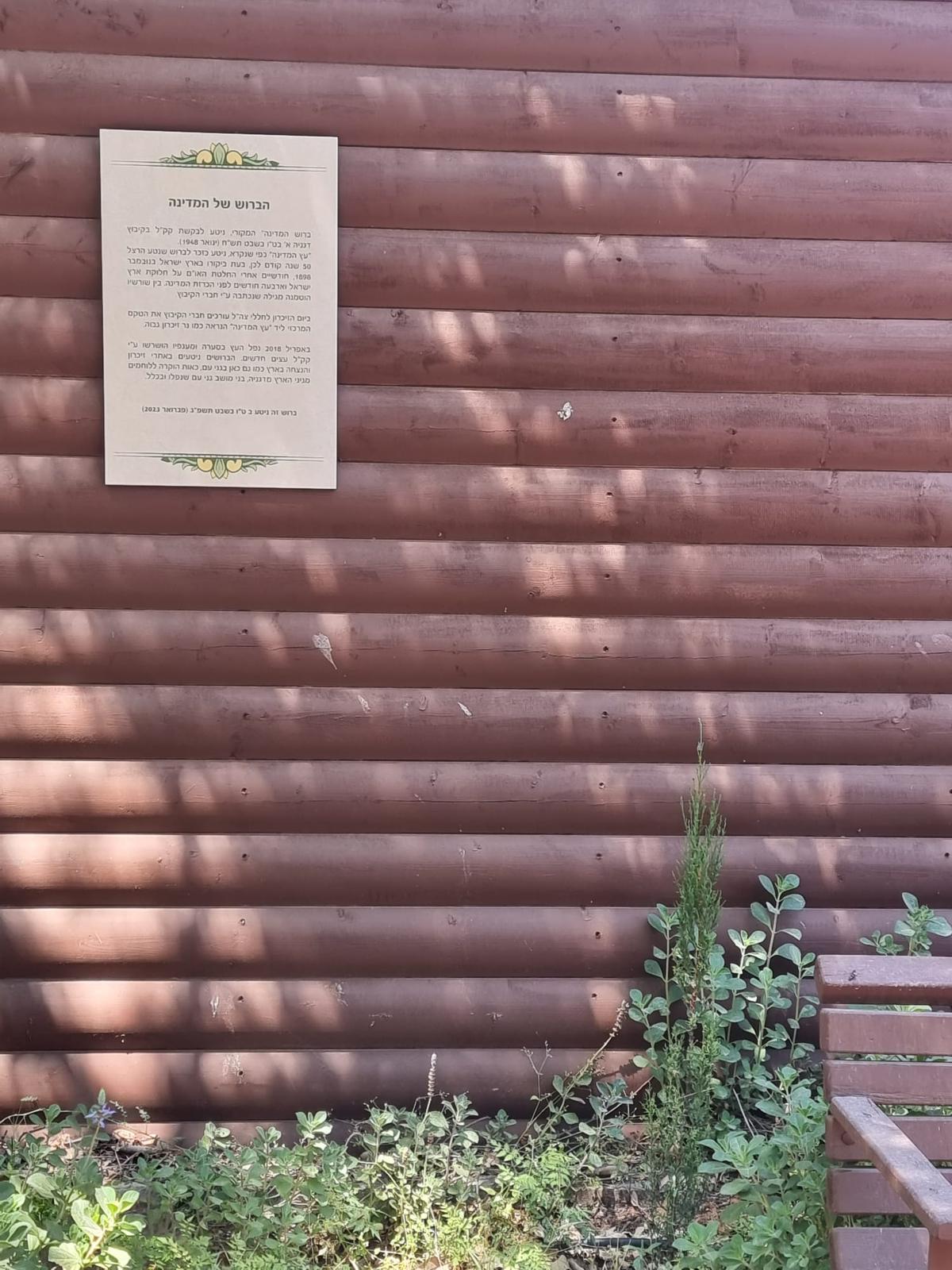 תמונה של ספסל הברוש של המדינה