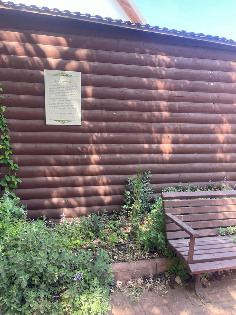 תמונה של ספסל הברוש של המדינה