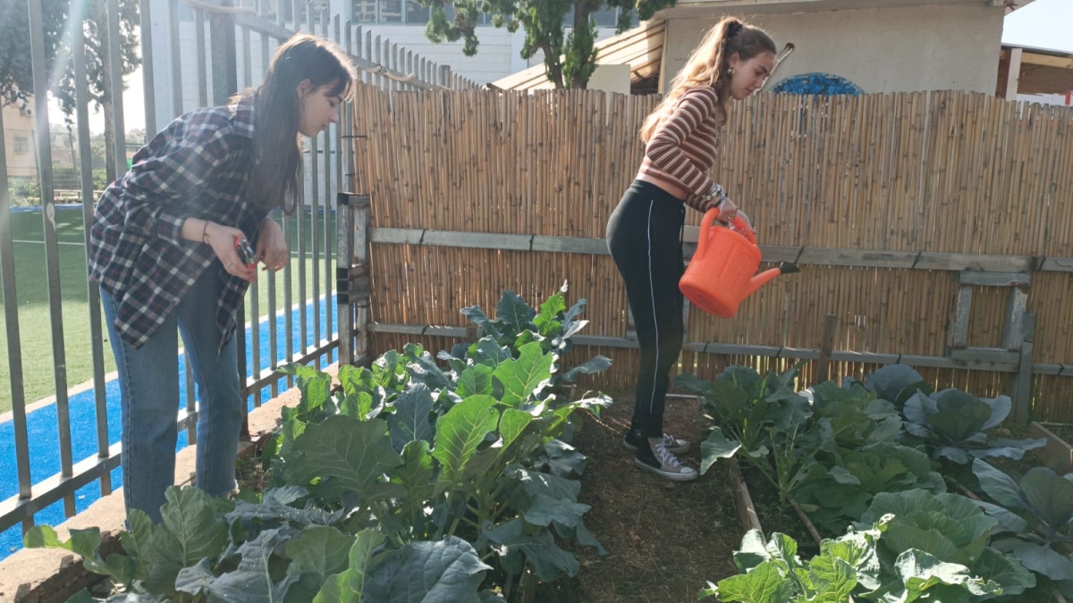 גינת בית הספר