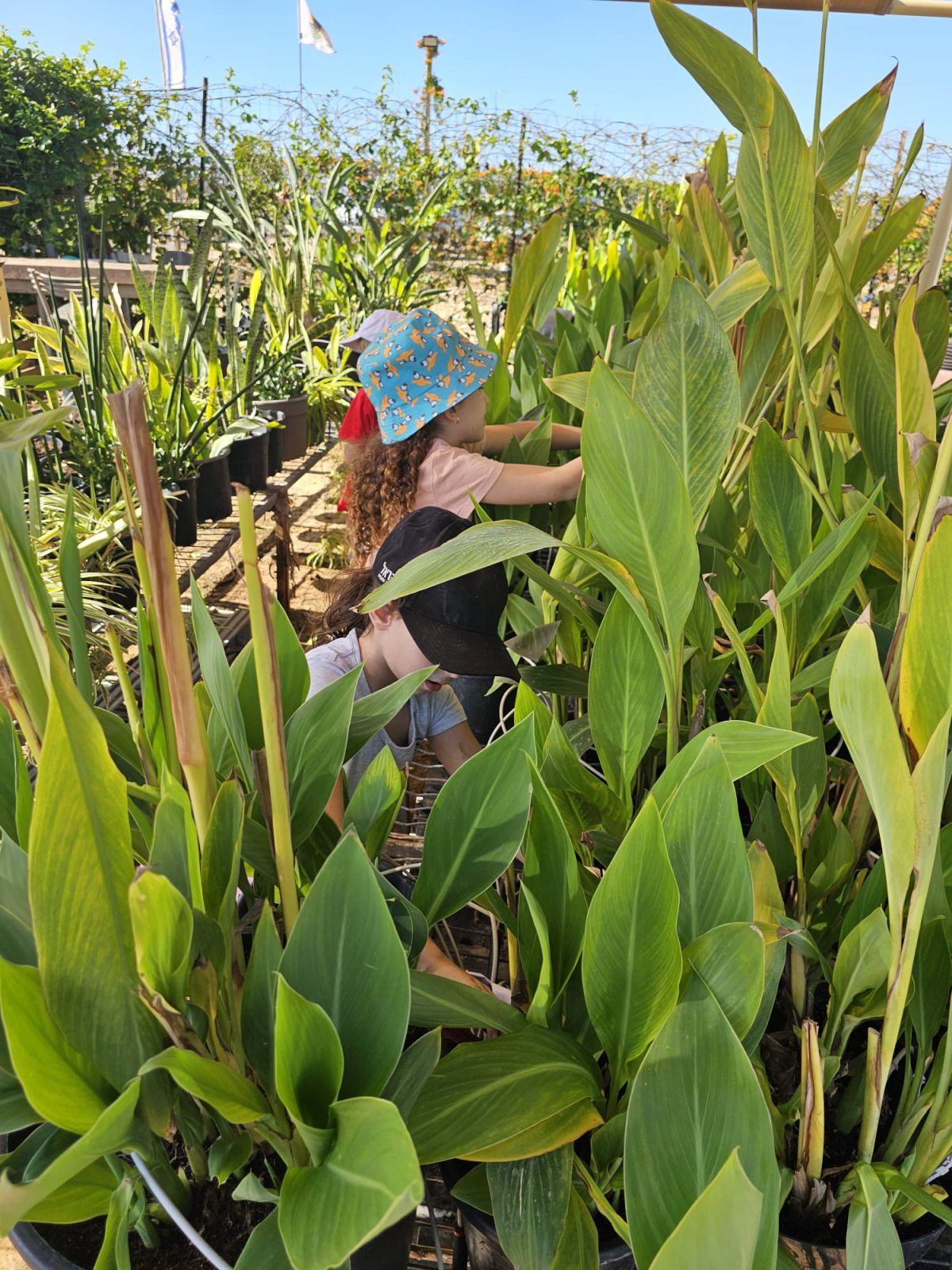 תמונות מבית חינוך מתן