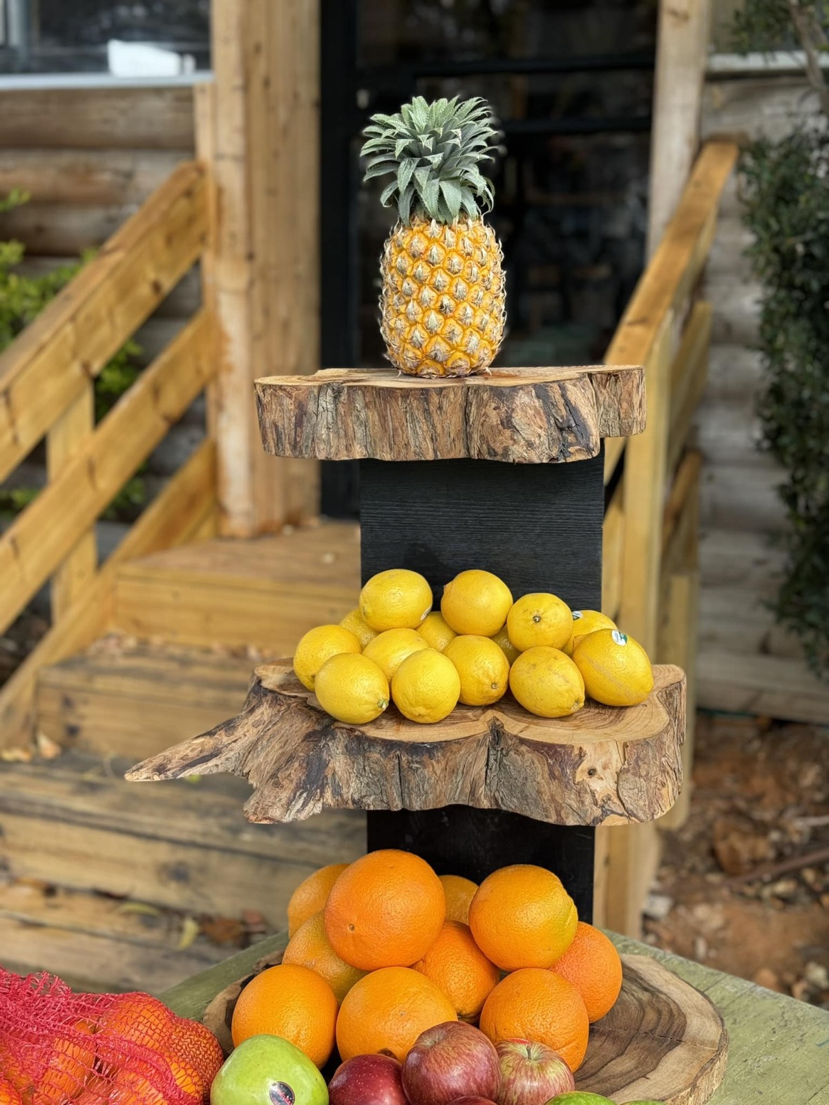 יום ספורט לנשות דרום השרון במתן