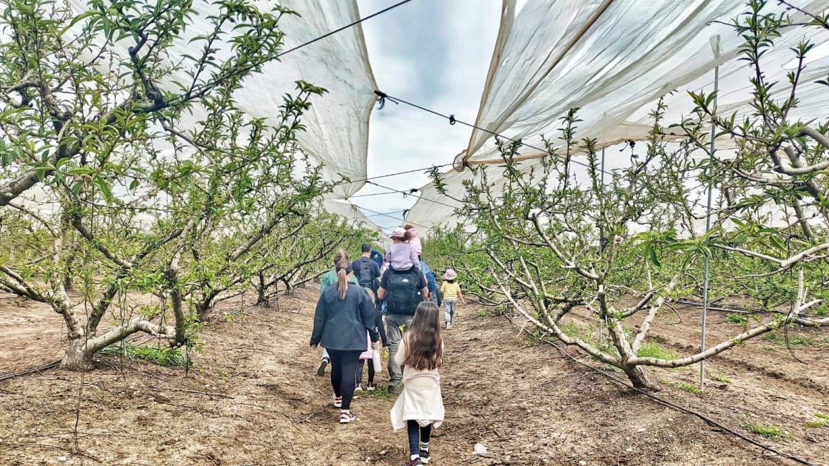 תמונות - אתמול גילינו את הטבע הכפרי בטיול ליד כפר סירקין