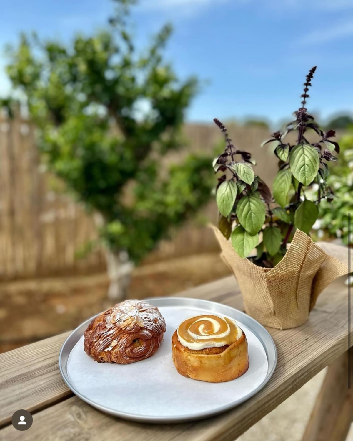 תמונות של עגלת הקפה באלישמע