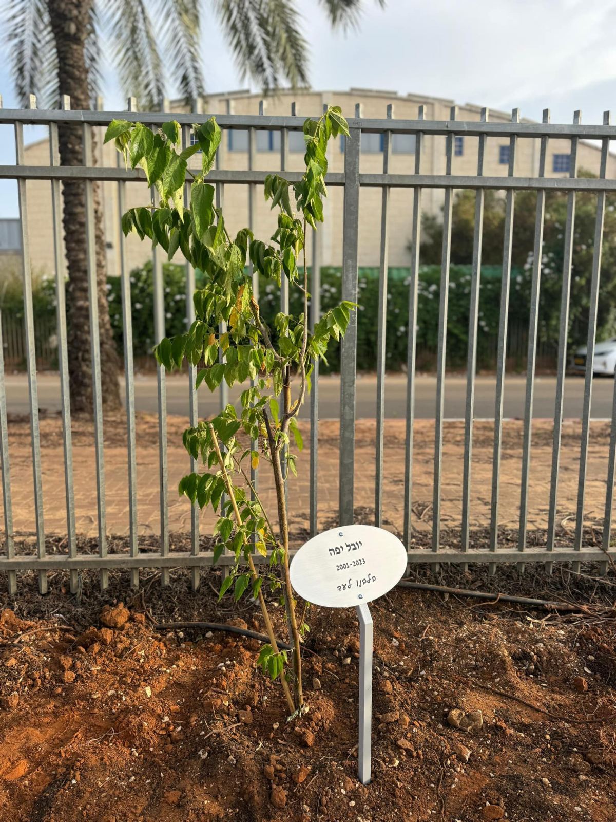 תמונות מטקס חשיפת האנדרטה לזכר חללי בית חינוך עמי אסף ונטיעת בוסתן הזיכרון