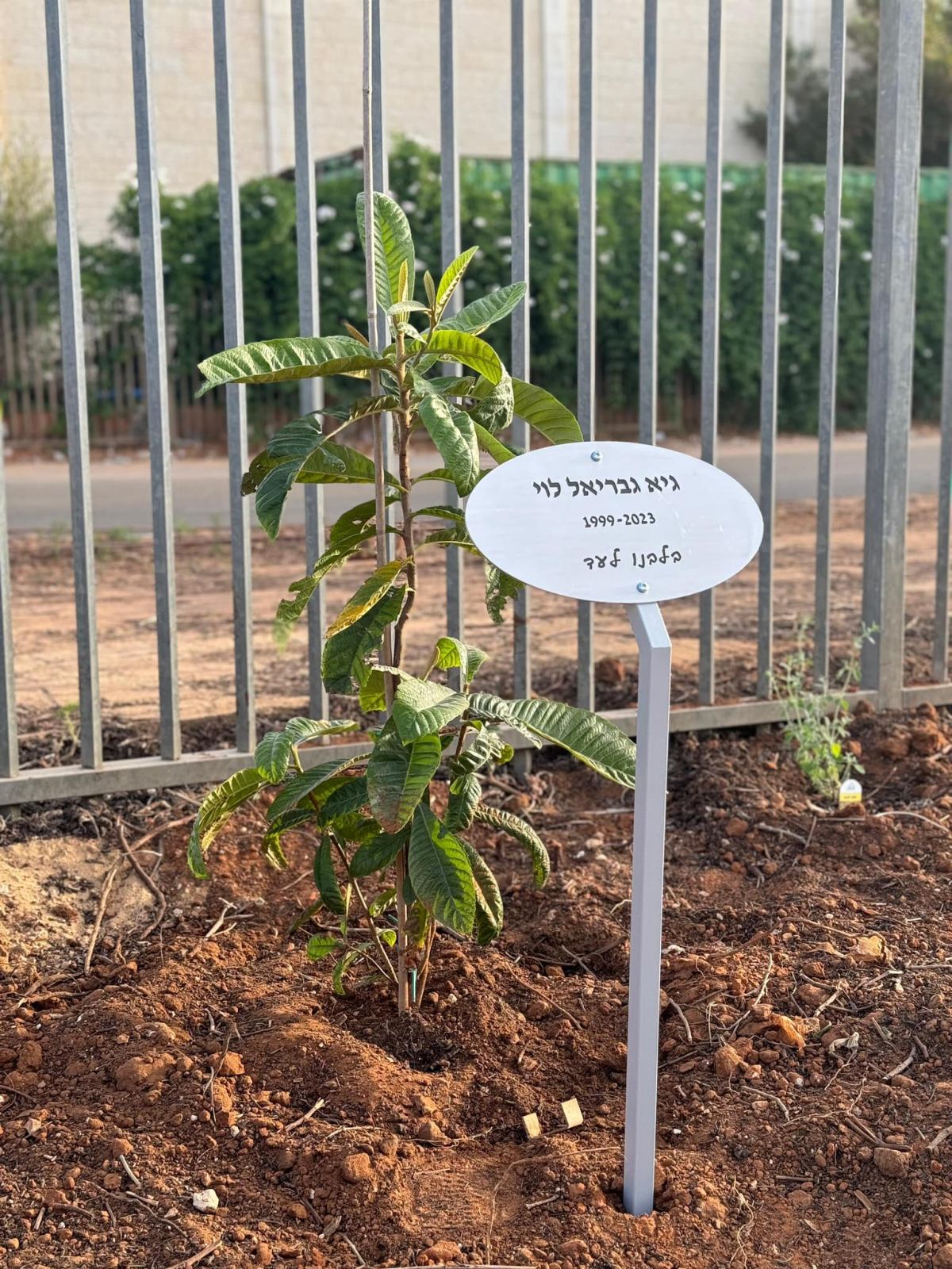 תמונות מטקס חשיפת האנדרטה לזכר חללי בית חינוך עמי אסף ונטיעת בוסתן הזיכרון