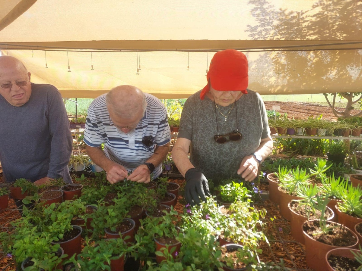תמונות של חברים וחברות מכיתת הותיקים בבית חינוך ירקון אשר נפגשו מדי שבוע בחווה