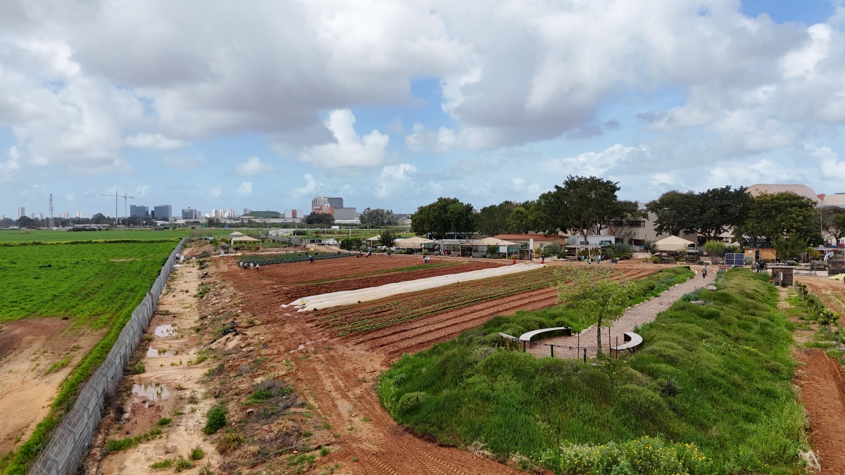 תמונות שונות מהחווה החקלאית בדרום השרון