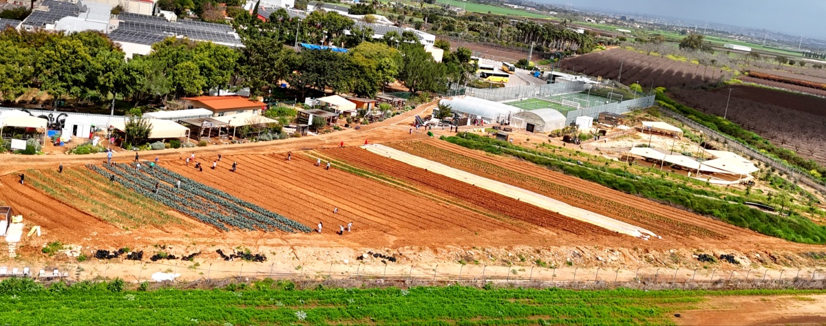 תמונות שונות מהחווה החקלאית בדרום השרון