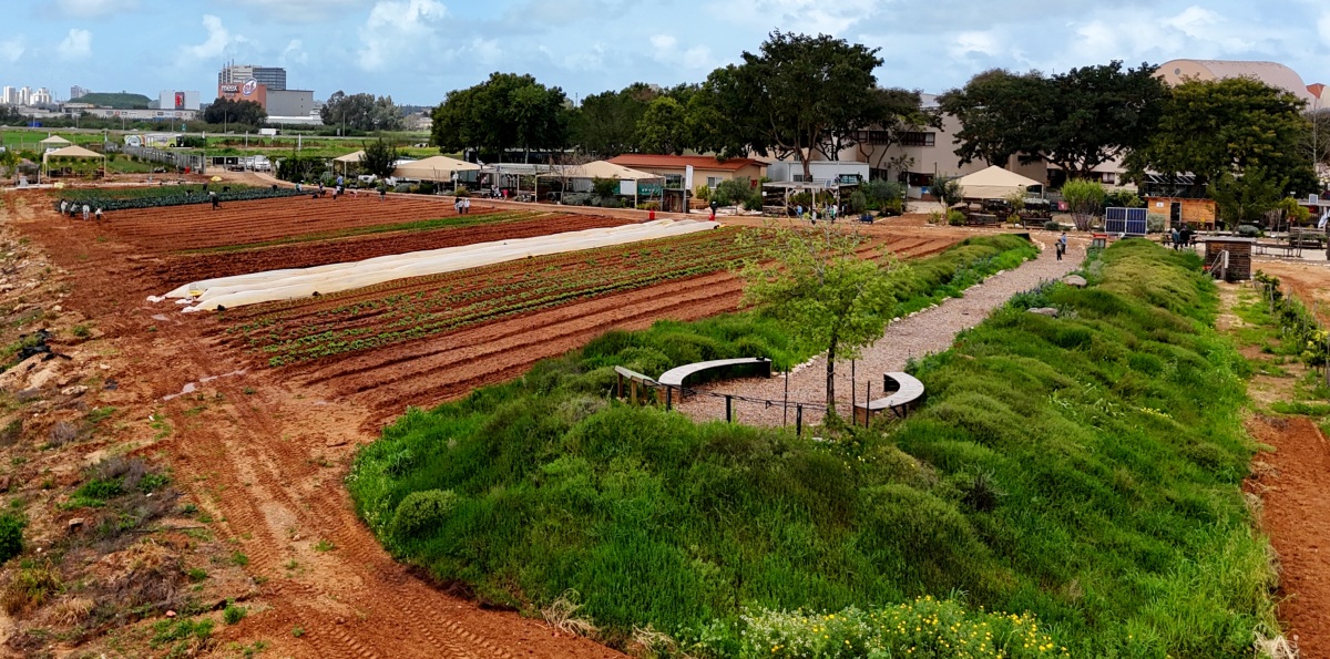 תמונות שונות מהחווה החקלאית בדרום השרון