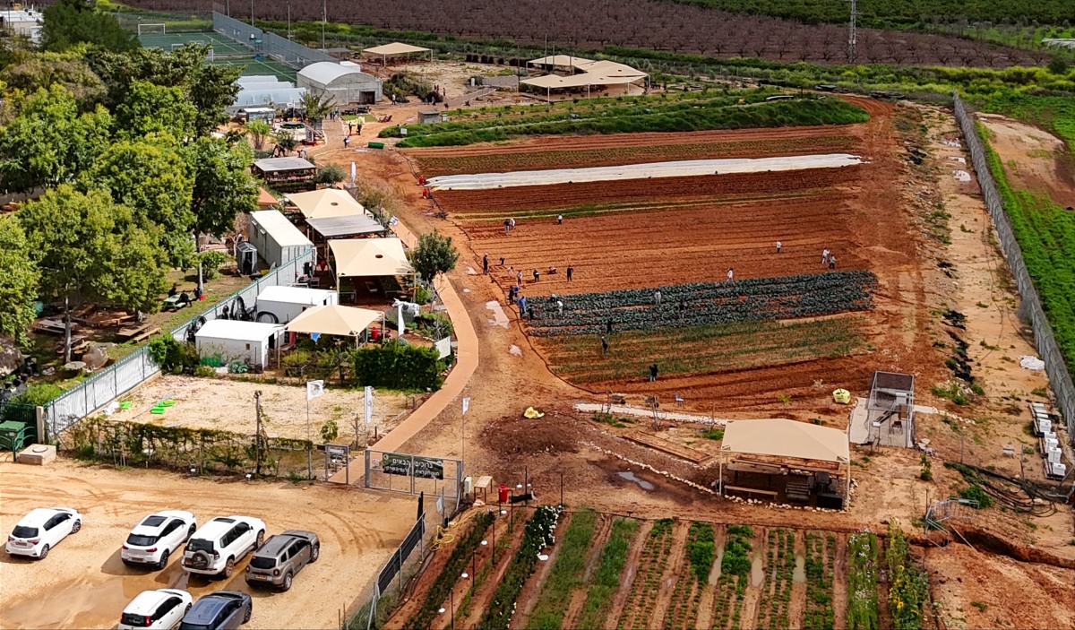 תמונות שונות מהחווה החקלאית בדרום השרון