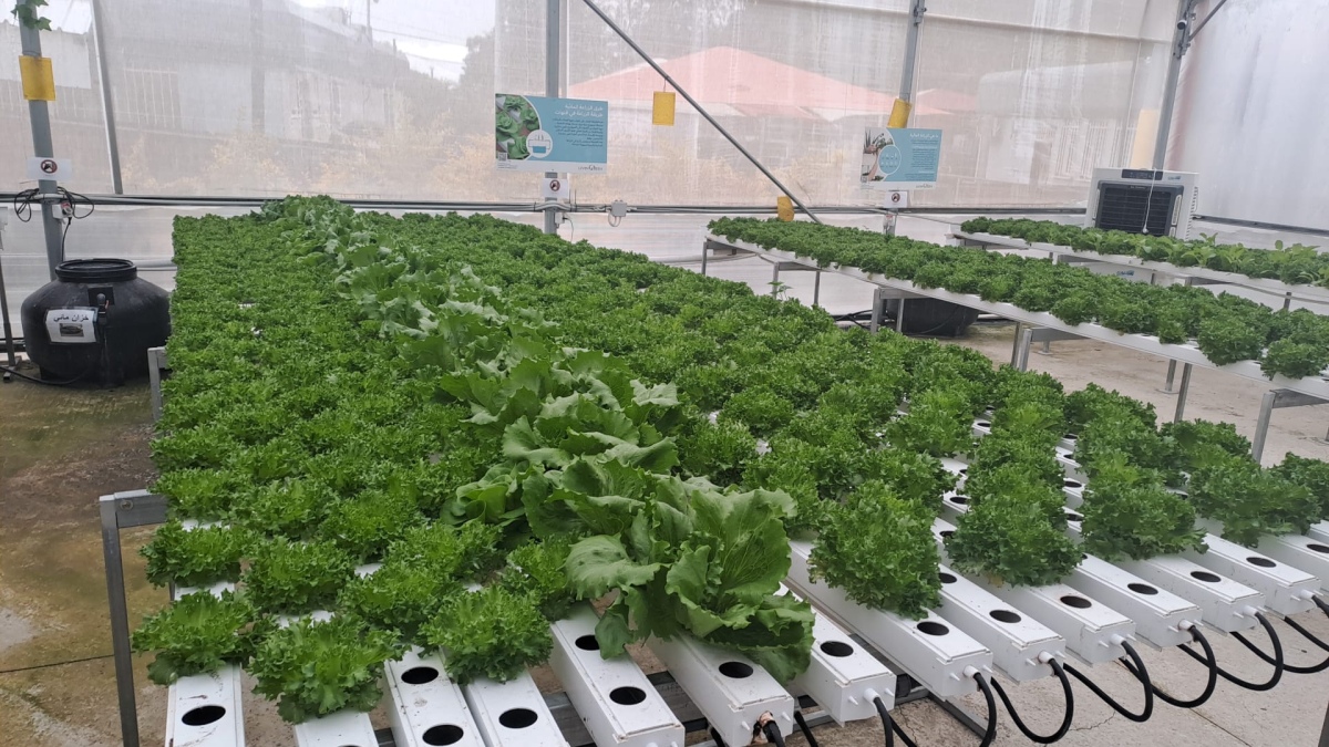 תמונות שונות מהחווה החקלאית בדרום השרון