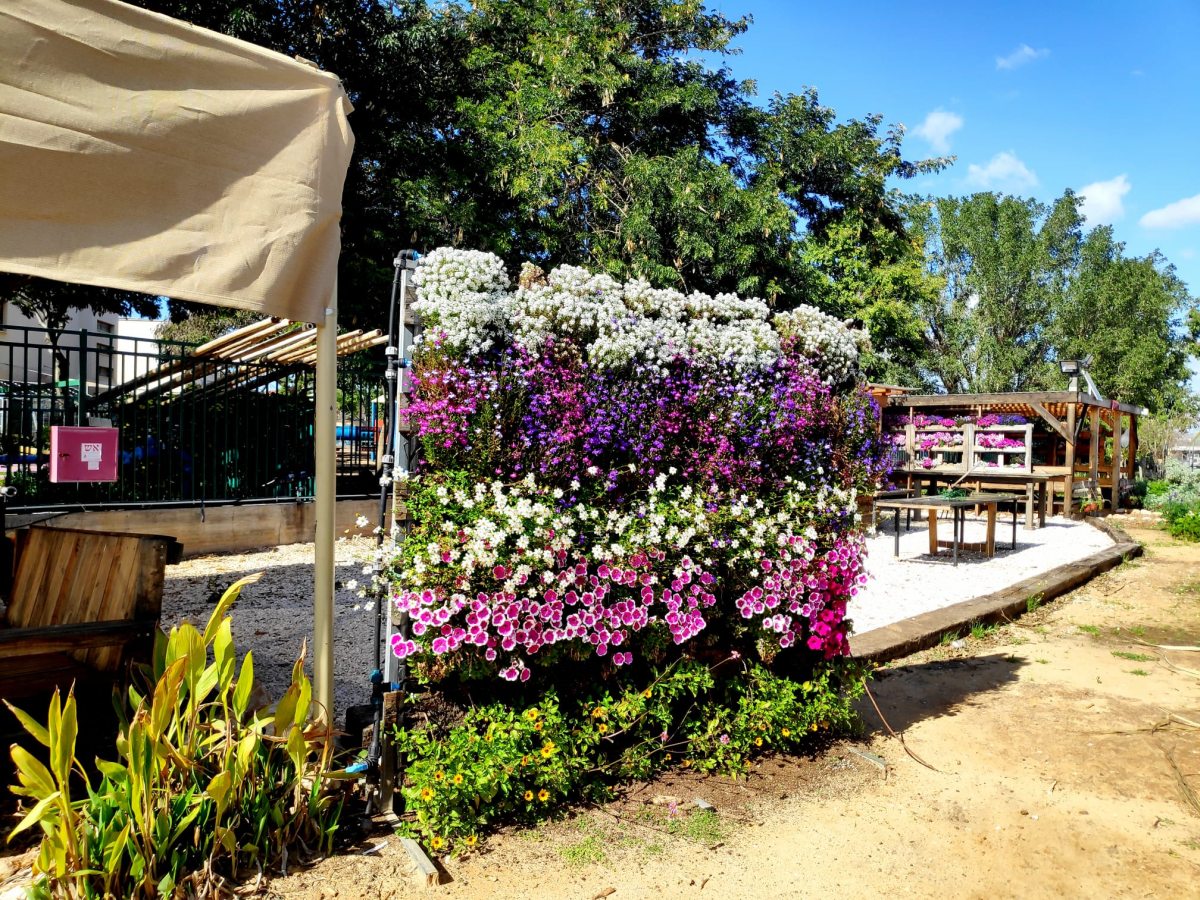 תמונות שונות מהחווה החקלאית בדרום השרון