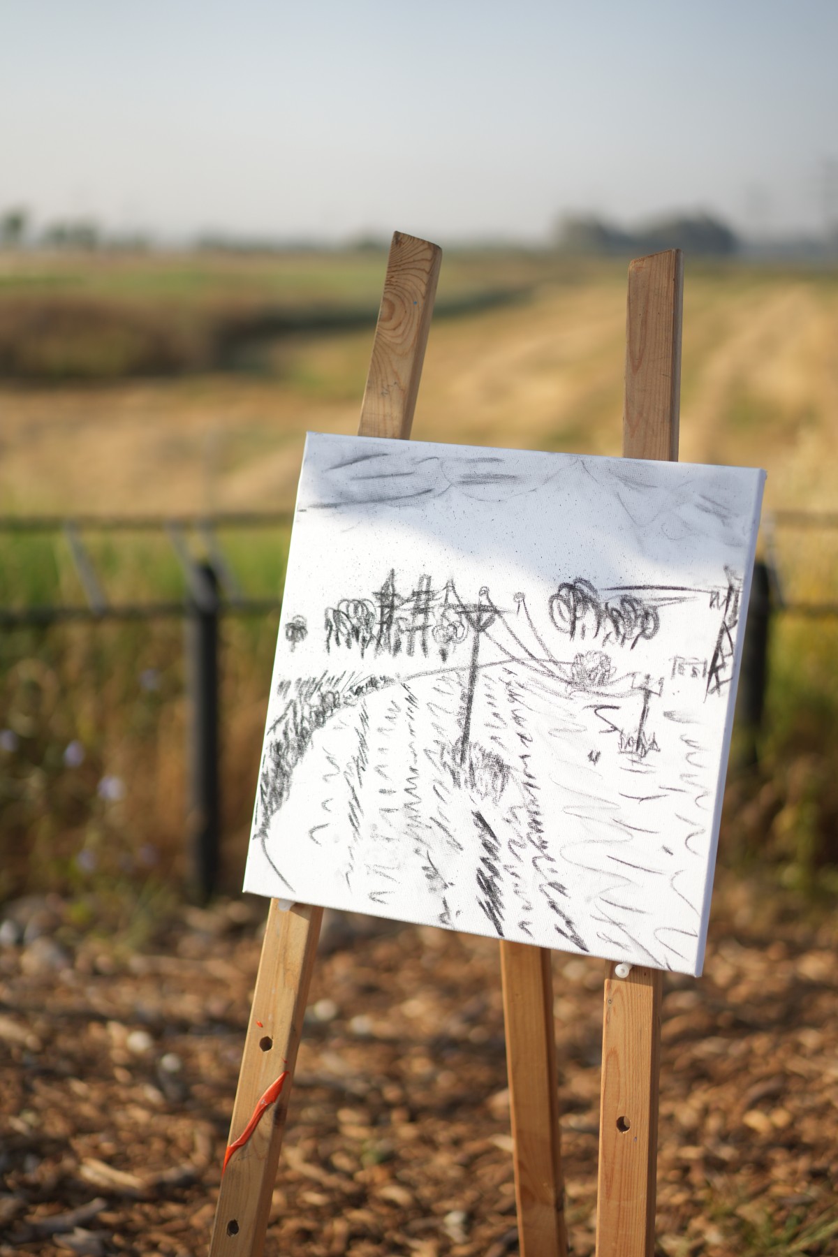 תמונות שונות מהחווה החקלאית בדרום השרון