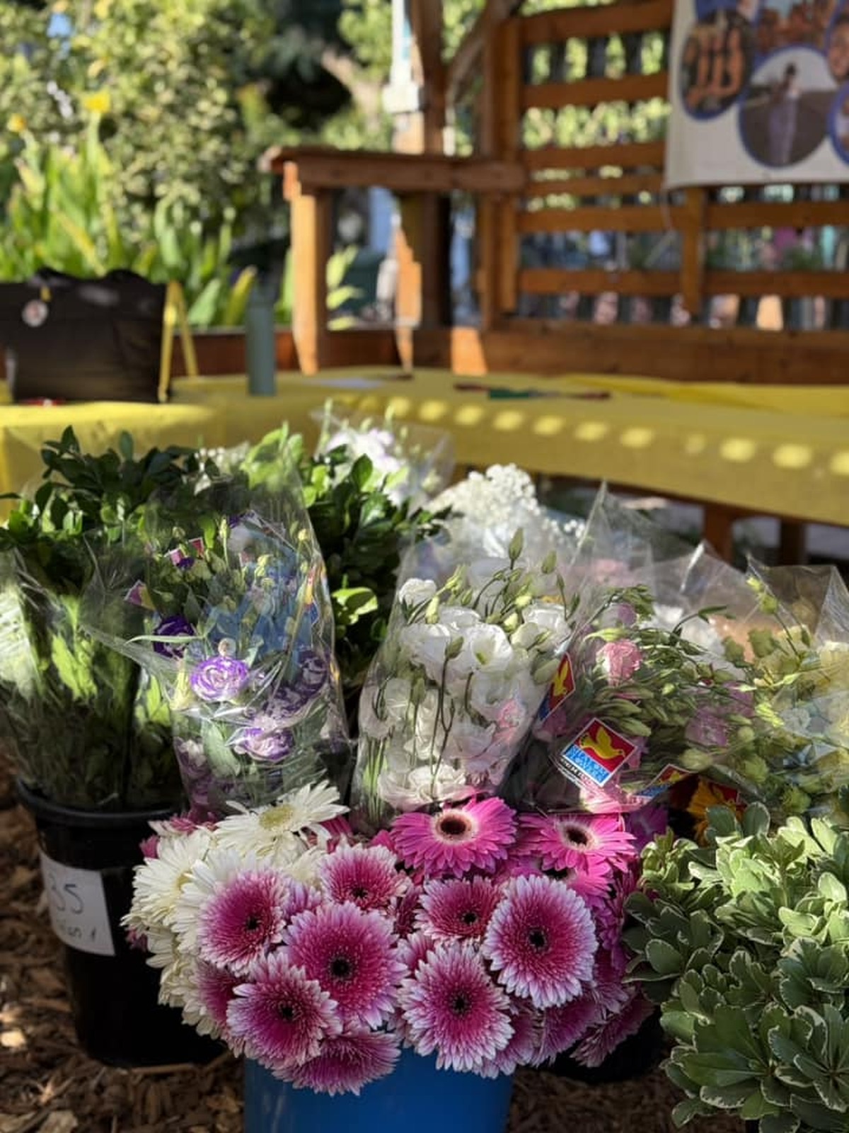 תמונות מארוע אשר נערך למען החטופים והחטופות בחווה החקלאית בדרום השרון