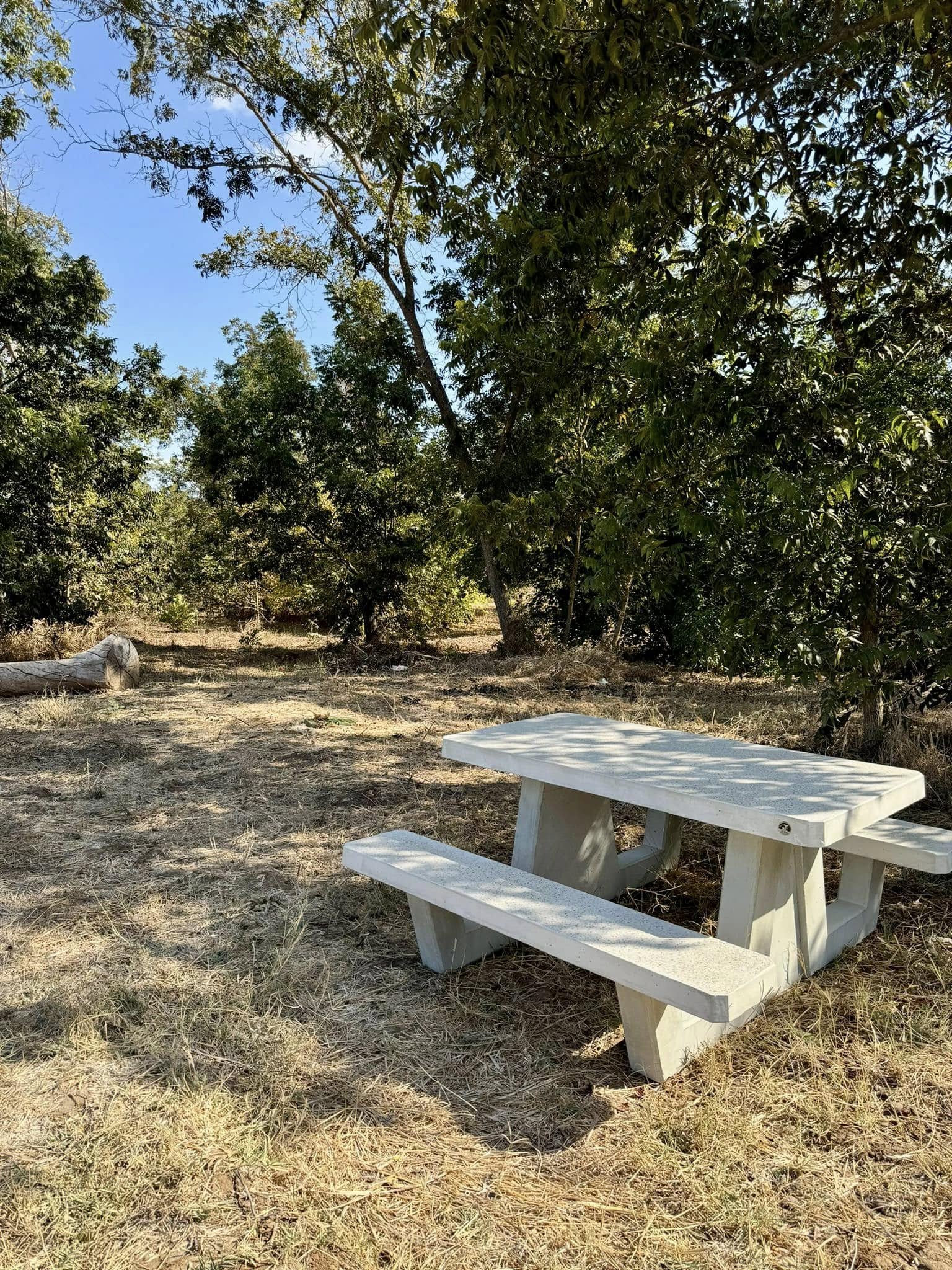 תמונות מנחל הדס