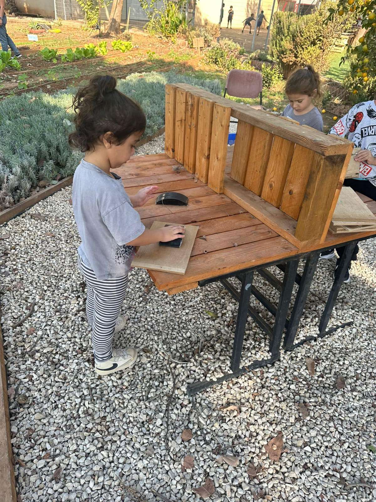 ילדי הגיל הרך בחווה החקלאית