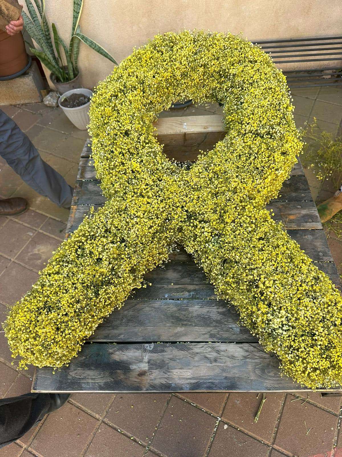 מיצג סמל החטופים מגיבסנית לבנה שגידלנו בחווה החקלאית דרום השרון