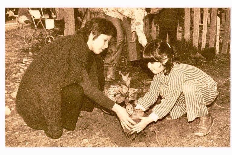 נטיעות טו בשבט בדרום השרון