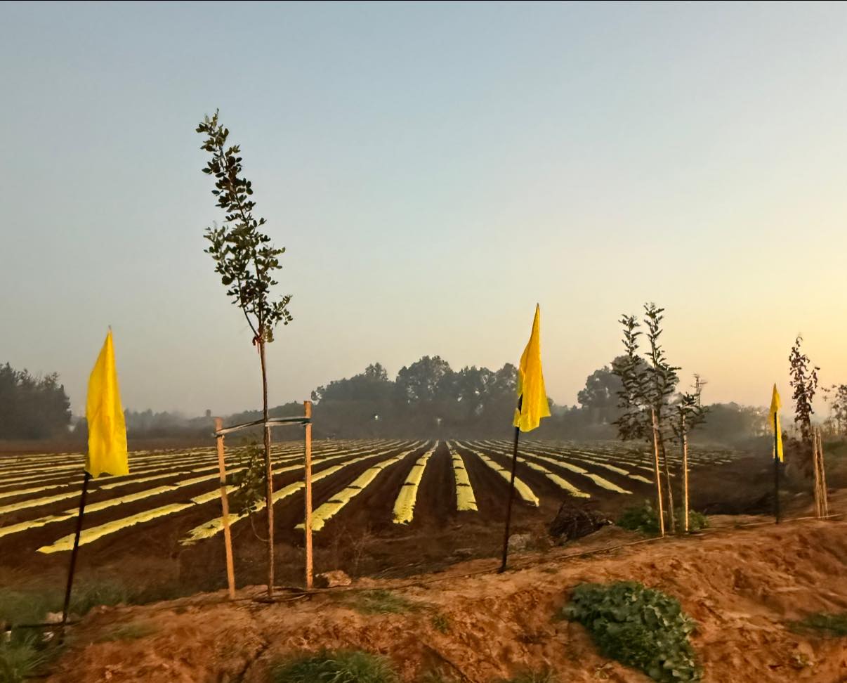 תמונות שדה במושב עדנים