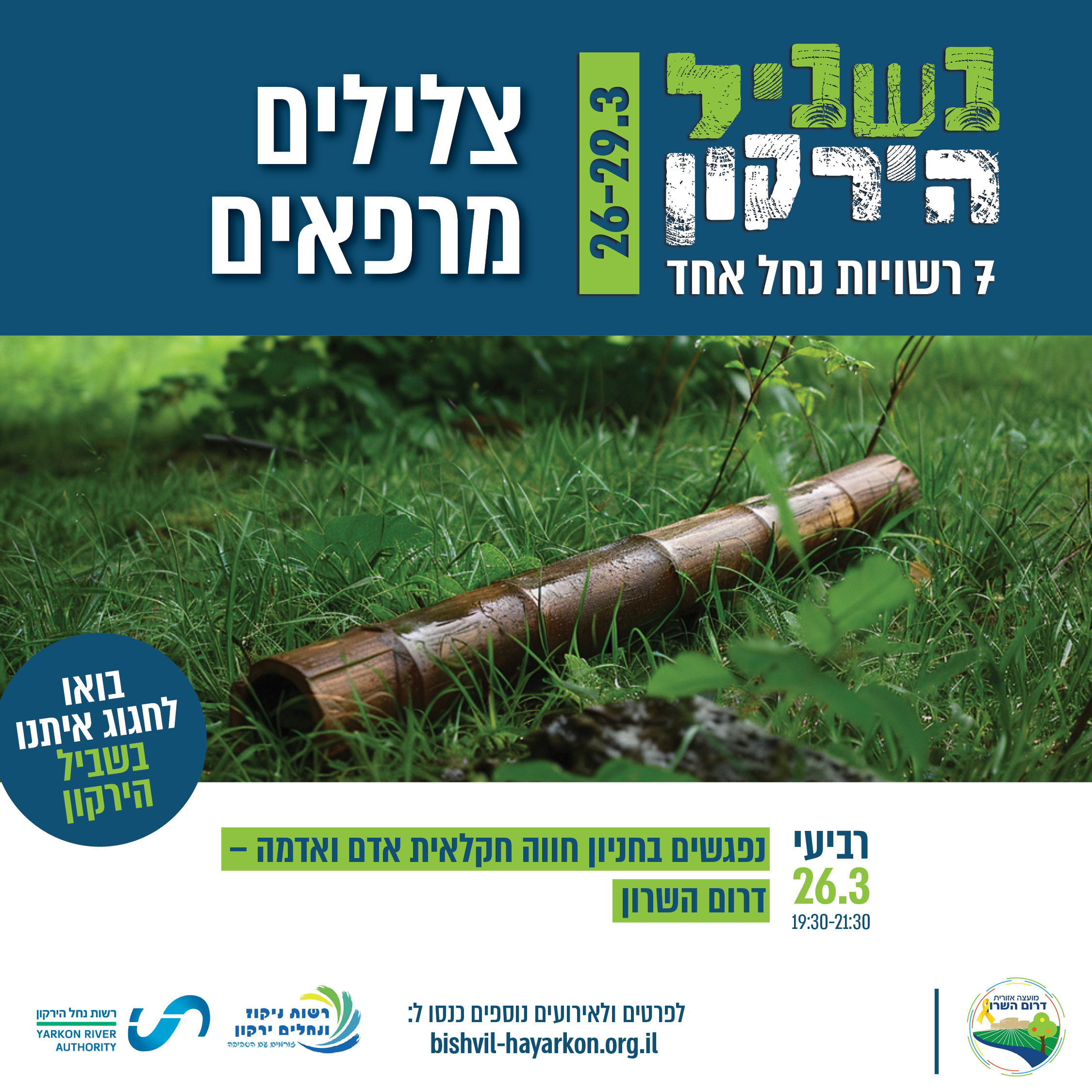 צלילים מרפאים