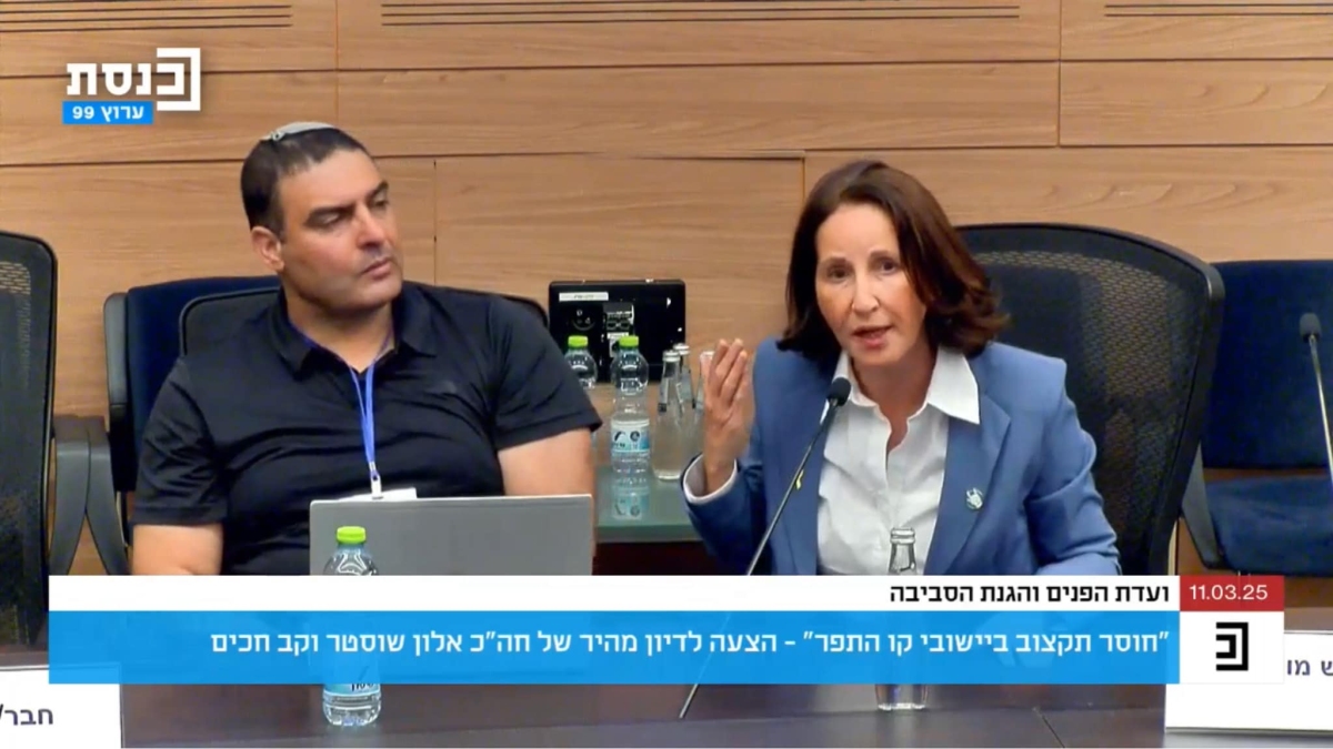 תמונתה של אושרת גני גונן בועדת הפנים