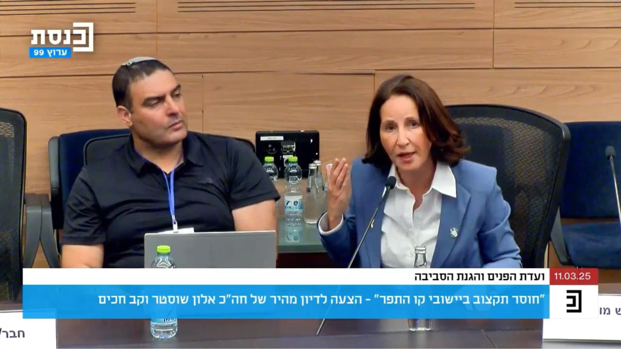 תמונתה של אושרת גני גונן בדיון ועדת הפנים