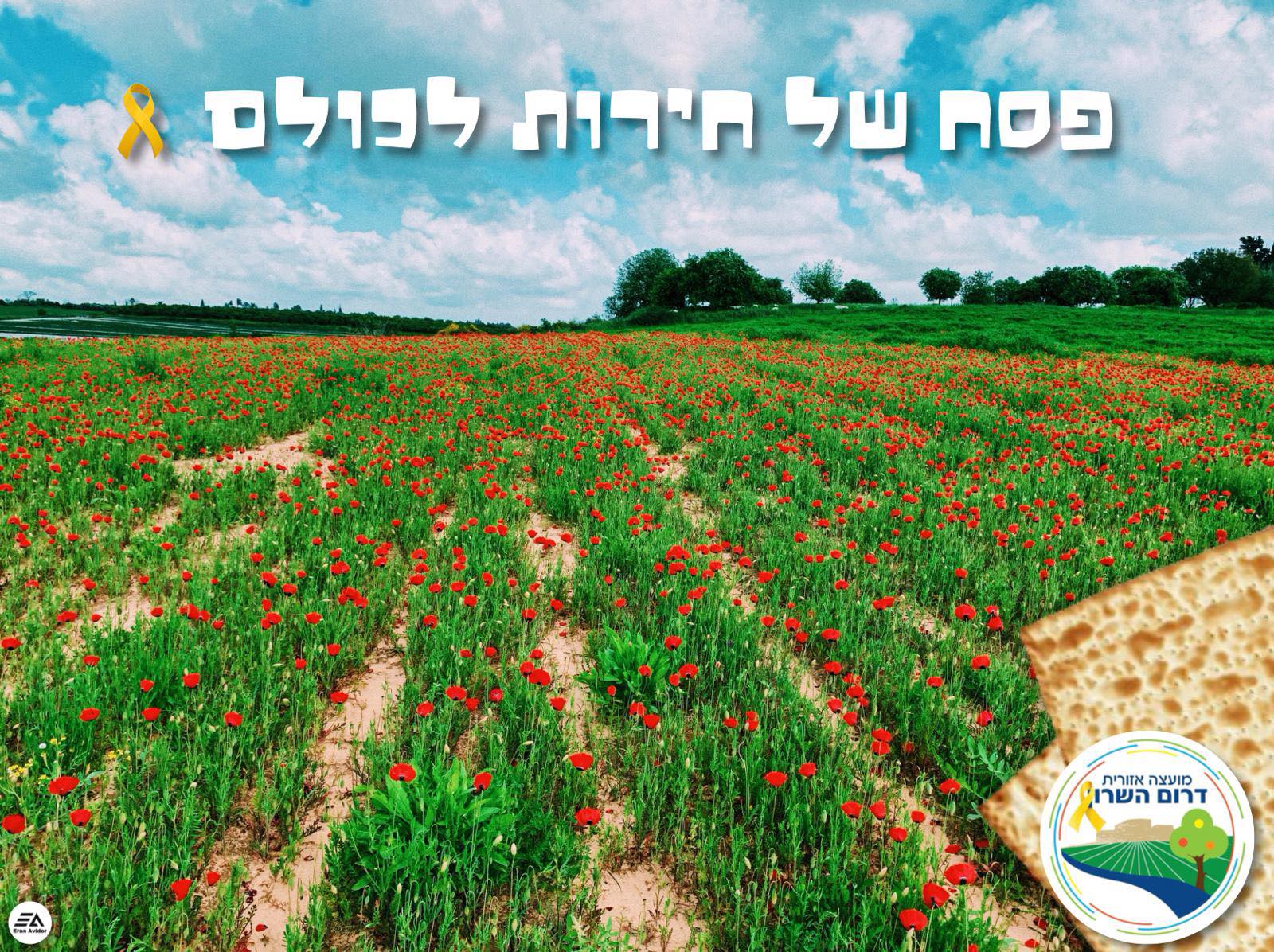 תמונת שדות דרום השרון