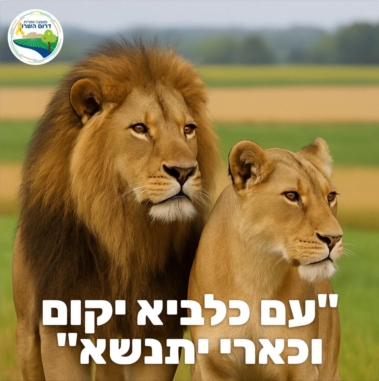 עם כלביא - תמונה של אריה