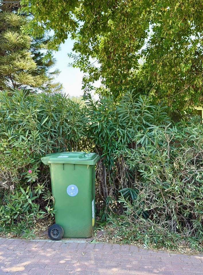 תמונה של פח ירוק