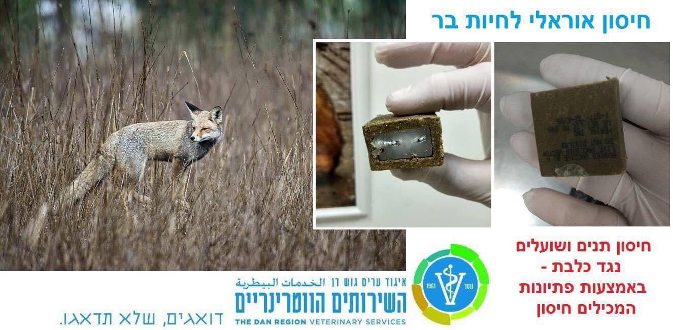 מודעה גרפית - פיזור פתיונות רעל