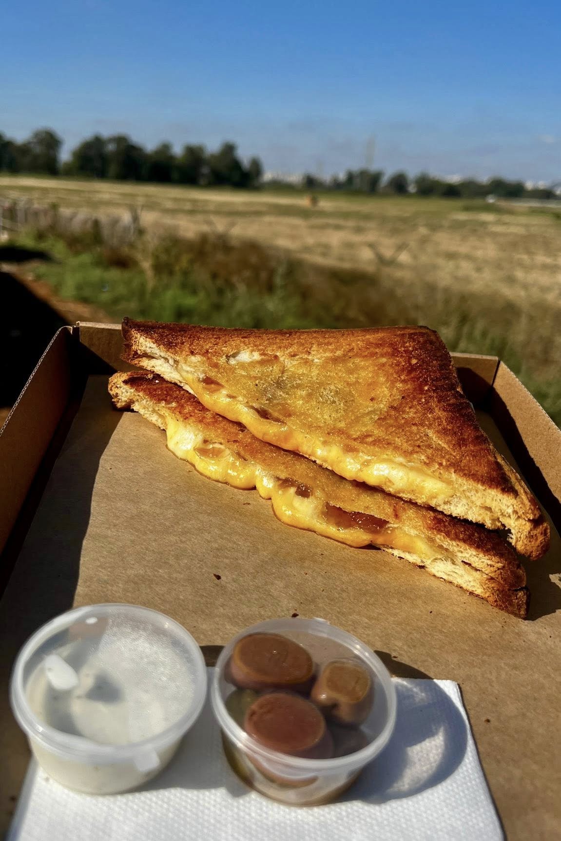 נעים להכיר, אסתריקה 