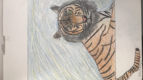 אמילי לויט כיתה ג.jpg