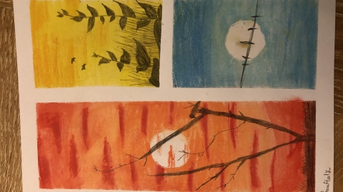 רוני נפתלי כיתה ג.jpeg