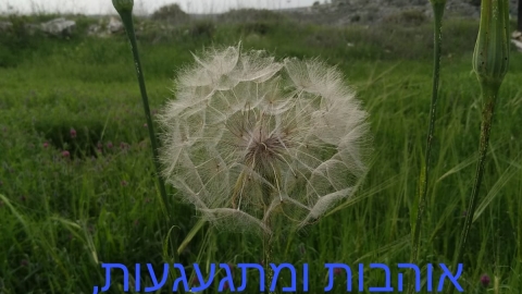 יהיה בסדר- צוות גן שירה.jpg