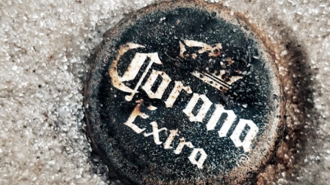 עידן שריג כיתה ח.jfif