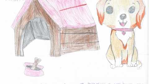 הדר שלומוביץ כיתה א.jpg