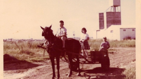 תמונה היסטורית חיי החקלאות ביישוב.jpg