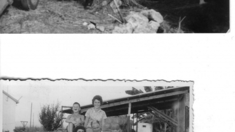 תמונות ארכיון היישוב עדנים.jpg